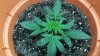 20160408_102434.jpg