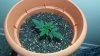 20160405_151016.jpg