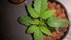 20160414_205043.jpg