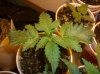 BUCKSMASH#3_4-23-12.JPG