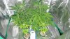 DSC00056.jpg