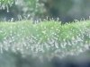 S20160418_0001.jpg