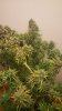 20160423_122418-min.jpg