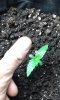 20160422_014300.jpg