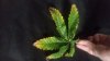 20160427_175722.jpg