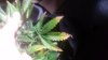 20160427_175954.jpg