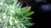 20160427_175944.jpg