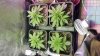 20160315_003704.jpg