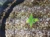 20160430_103357.jpg