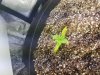 20160430_103345.jpg