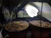 20160430_103403.jpg