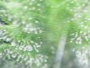 S20160502_0003.jpg