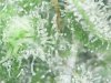 S20160502_0004.jpg