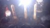Germination Substitutes 05-01-16.jpg