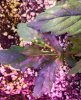20160502_023546.jpg 20160502_023546.jpg