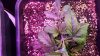20160502_015616.jpg