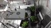 20160503_233250.jpg 20160503_233250.jpg