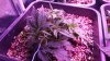 20160506_231850.jpg