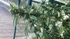 20160508_092104.jpg