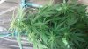 20160508_092051.jpg