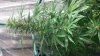 20160508_092045.jpg