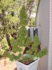 DSC00016.jpg