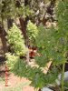 DSC00010.jpg