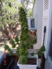 DSC00003.jpg