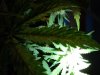DSC01764.jpg