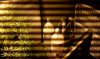 IMAG0166.jpg IMAG0166.jpg