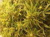 20160508_184247.jpg
