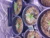 20160411_174019.jpg