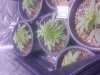 20160417_210135.jpg