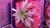 20160510_145455.jpg
