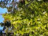 20131009_152028.jpg