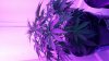 20160511_144400.jpg