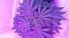 20160511_144348.jpg