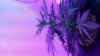 20160511_144158.jpg