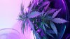 20160511_144114.jpg