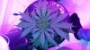 20160511_144104.jpg