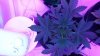 20160511_143834.jpg