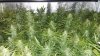20160510_213736.jpg