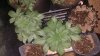 20160511_203312.jpg