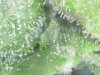 S20160512_0005.jpg