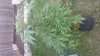 20160510_191751.jpg