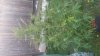 20160510_191708.jpg