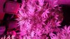 20160512_204337.jpg