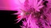 20160512_204308.jpg