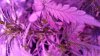 20160513_100720.jpg