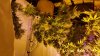 20160514_172039.jpg